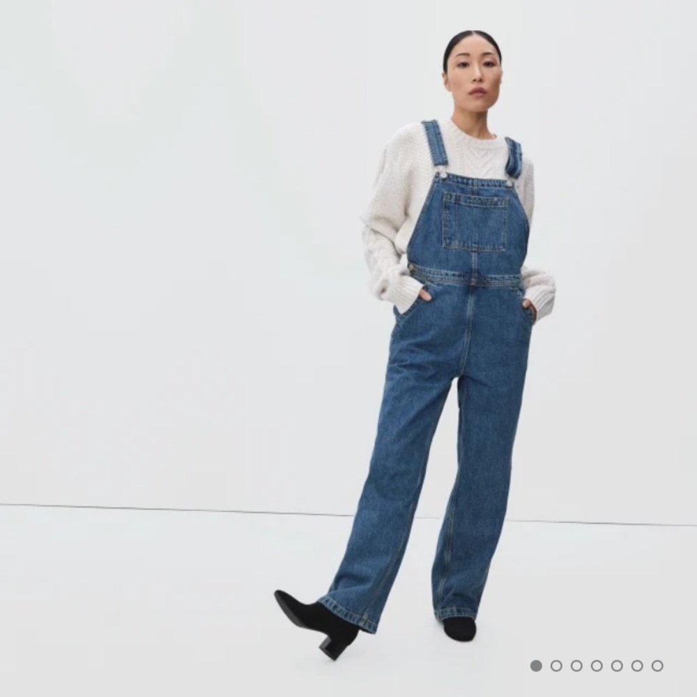 Everlane Organic Cotton Denim Overalls
